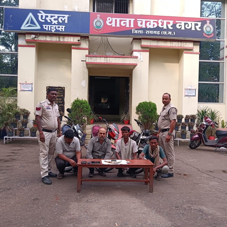 c8866979-0db7-4842-b635-48b9abfb2bb7-750x750