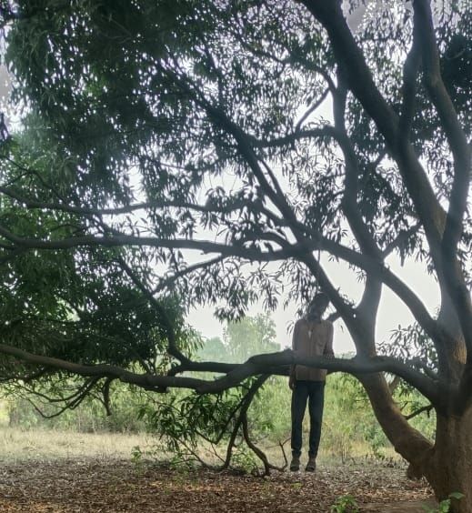 image_editor_output_image800181430-17474944147424157444404258248728