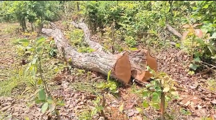 Screenshot_2025_0613_120107