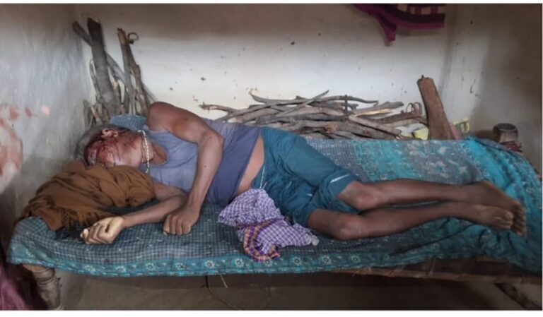 IMG-20250702-WA0173-768x449