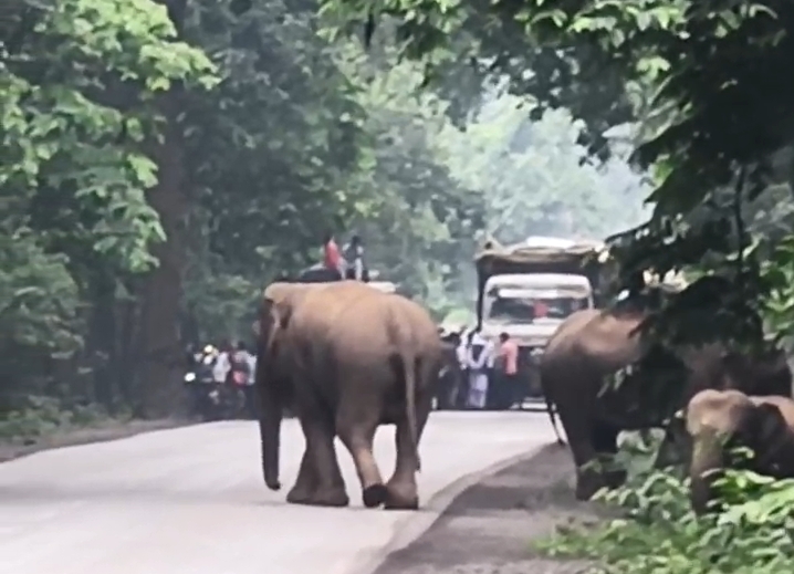 Screenshot_2025-07-14-18-05-40-73_99c04817c0de5652397fc8b56c3b3817