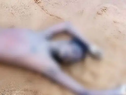 mand-nadi-1_1752398456