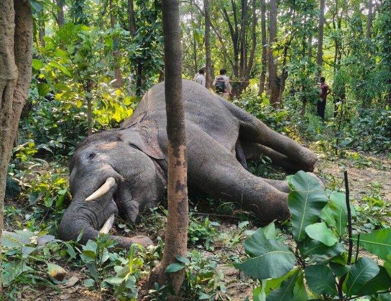 Screenshot_2025-10-20-15-59-29-13_965bbf4d18d205f782c6b8409c5773a4