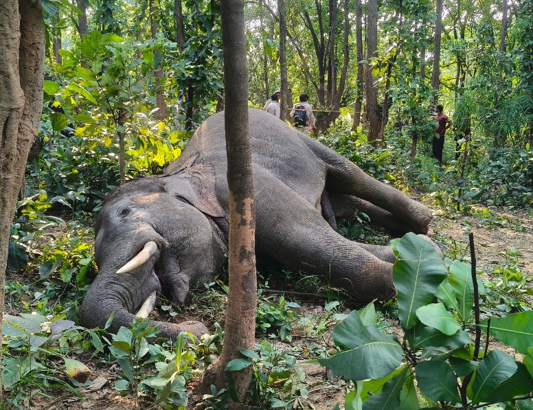 Screenshot_2025-10-20-15-59-29-13_965bbf4d18d205f782c6b8409c5773a4