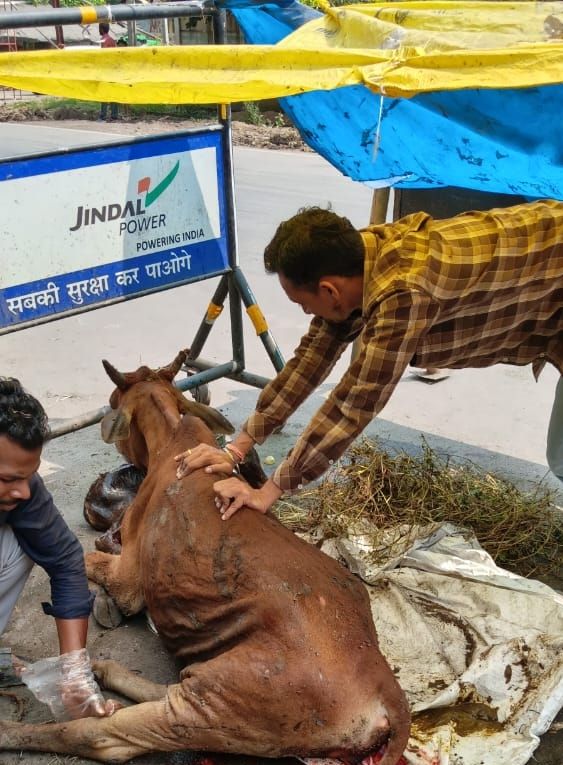 image_editor_output_image640089115-17607562992153019667869429925106