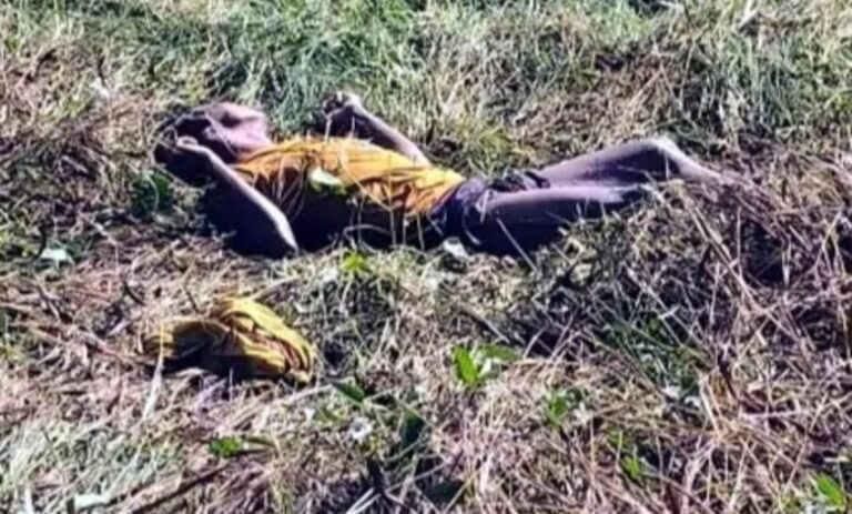 IMG_20251211_164646-780x470