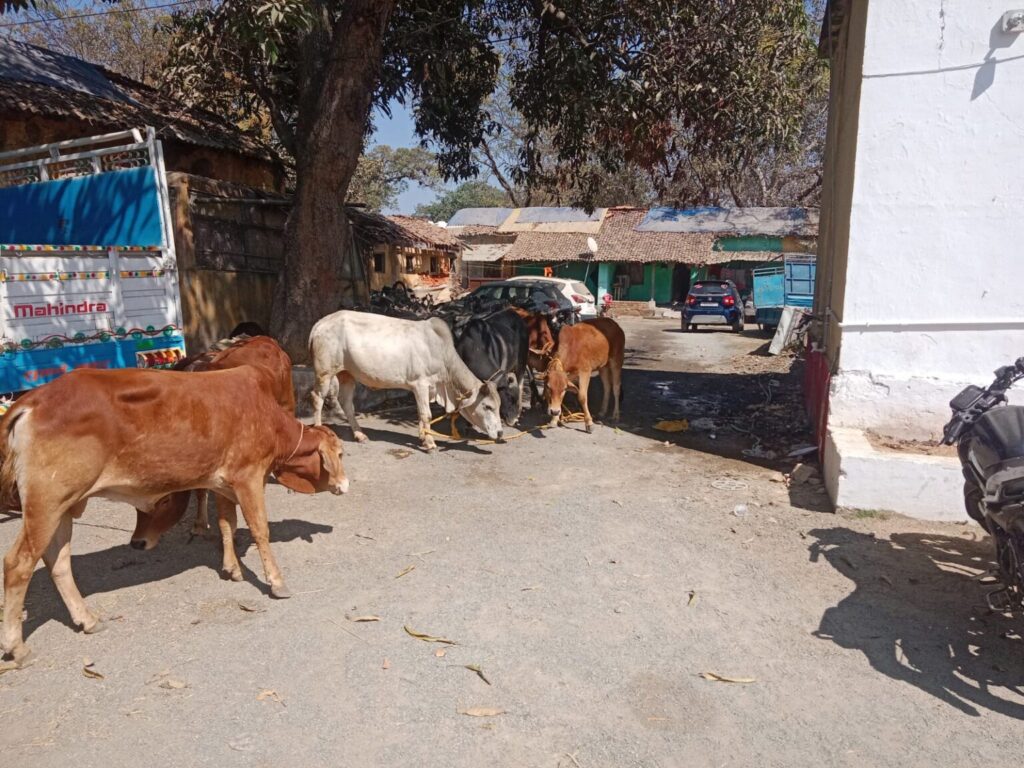 IMG-20260216-WA0056-1536x1152