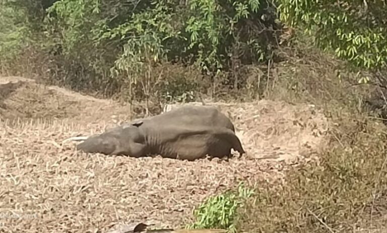 WhatsApp-Image-2026-03-11-at-1.52.15-PM