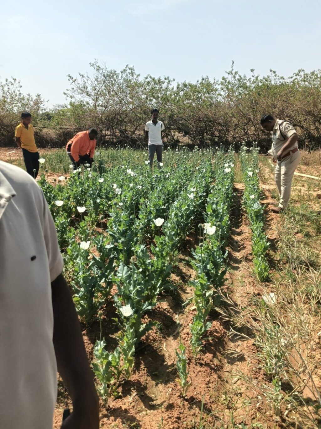 img-20260323-wa00165594278846679088104-1152x1536